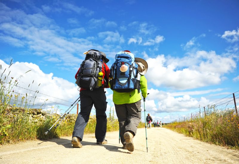 sabores del Camino